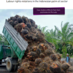 Palming off responsibility - Labour rights violations in the Indonesian palm oil sector