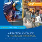 A practical CNV Guide to the RUGGIE principles