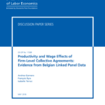 Productivity and Wage Effects of Firm-Level Collective Agreements: Evidence from Belgian Linked Panel Data